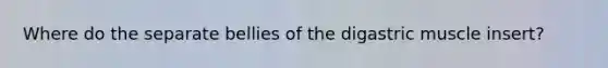 Where do the separate bellies of the digastric muscle insert?