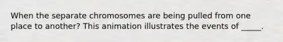 When the separate chromosomes are being pulled from one place to another? This animation illustrates the events of _____.