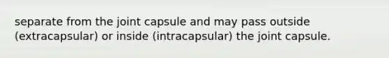 separate from the joint capsule and may pass outside (extracapsular) or inside (intracapsular) the joint capsule.