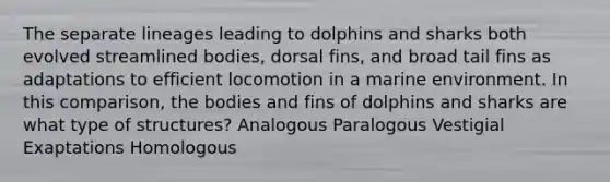 The separate lineages leading to dolphins and sharks both evolved streamlined bodies, dorsal fins, and broad tail fins as adaptations to efficient locomotion in a marine environment. In this comparison, the bodies and fins of dolphins and sharks are what type of structures? Analogous Paralogous Vestigial Exaptations Homologous