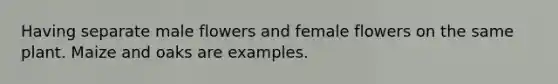 Having separate male flowers and female flowers on the same plant. Maize and oaks are examples.