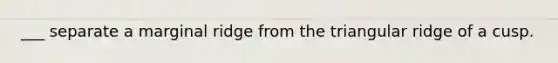 ___ separate a marginal ridge from the triangular ridge of a cusp.