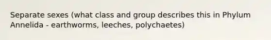 Separate sexes (what class and group describes this in Phylum Annelida - earthworms, leeches, polychaetes)