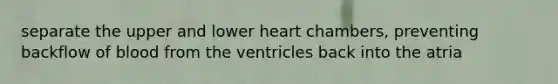 separate the upper and lower heart chambers, preventing backflow of blood from the ventricles back into the atria