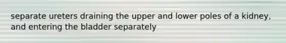 separate ureters draining the upper and lower poles of a kidney, and entering the bladder separately