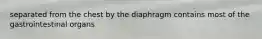 separated from the chest by the diaphragm contains most of the gastrointestinal organs