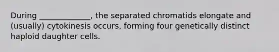 During _____________, the separated chromatids elongate and (usually) cytokinesis occurs, forming four genetically distinct haploid daughter cells.