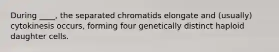 During ____, the separated chromatids elongate and (usually) cytokinesis occurs, forming four genetically distinct haploid daughter cells.