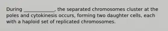 During _____________, the separated chromosomes cluster at the poles and cytokinesis occurs, forming two daughter cells, each with a haploid set of replicated chromosomes.