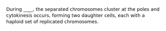 During ____, the separated chromosomes cluster at the poles and cytokinesis occurs, forming two daughter cells, each with a haploid set of replicated chromosomes.