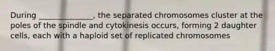 During ______________, the separated chromosomes cluster at the poles of the spindle and cytokinesis occurs, forming 2 daughter cells, each with a haploid set of replicated chromosomes