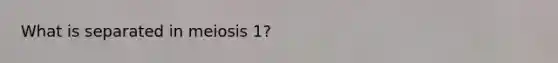 What is separated in meiosis 1?