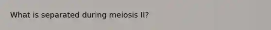 What is separated during meiosis II?