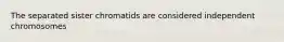 The separated sister chromatids are considered independent chromosomes