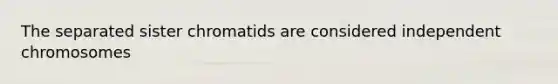 The separated sister chromatids are considered independent chromosomes