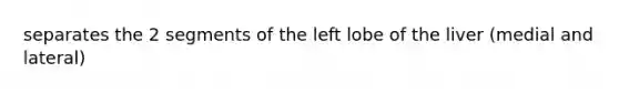 separates the 2 segments of the left lobe of the liver (medial and lateral)