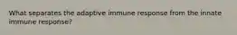 What separates the adaptive immune response from the innate immune response?