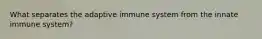 What separates the adaptive immune system from the innate immune system?