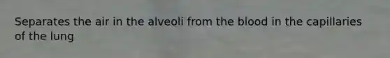 Separates the air in the alveoli from <a href='https://www.questionai.com/knowledge/k7oXMfj7lk-the-blood' class='anchor-knowledge'>the blood</a> in the capillaries of the lung