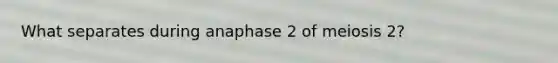 What separates during anaphase 2 of meiosis 2?