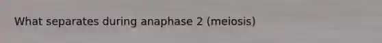 What separates during anaphase 2 (meiosis)