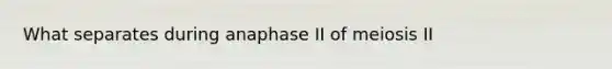 What separates during anaphase II of meiosis II