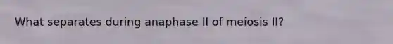 What separates during anaphase II of meiosis II?