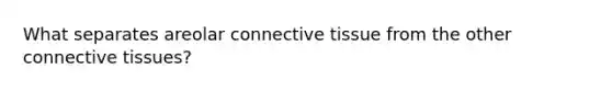 What separates areolar connective tissue from the other connective tissues?