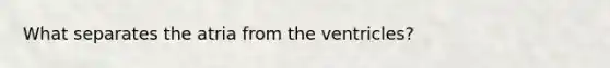 What separates the atria from the ventricles?