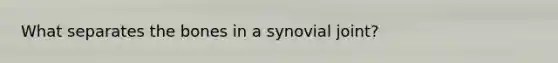 What separates the bones in a synovial joint?