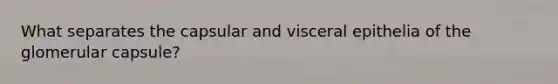 What separates the capsular and visceral epithelia of the glomerular capsule?