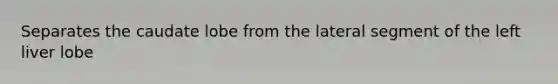 Separates the caudate lobe from the lateral segment of the left liver lobe