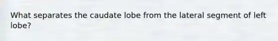 What separates the caudate lobe from the lateral segment of left lobe?