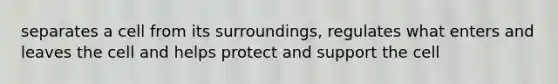 separates a cell from its surroundings, regulates what enters and leaves the cell and helps protect and support the cell