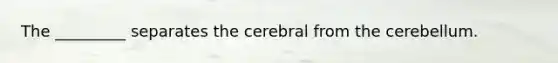 The _________ separates the cerebral from the cerebellum.