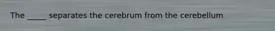 The _____ separates the cerebrum from the cerebellum