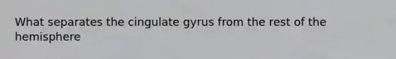 What separates the cingulate gyrus from the rest of the hemisphere