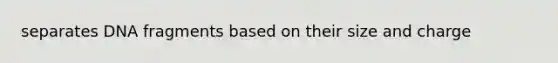 separates DNA fragments based on their size and charge