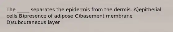 The _____ separates the epidermis from the dermis. A)epithelial cells B)presence of adipose C)basement membrane D)subcutaneous layer