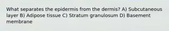 What separates the epidermis from the dermis? A) Subcutaneous layer B) Adipose tissue C) Stratum granulosum D) Basement membrane