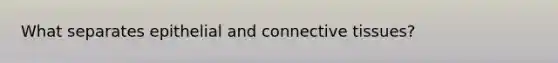What separates epithelial and connective tissues?