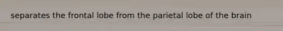 separates the frontal lobe from the parietal lobe of the brain