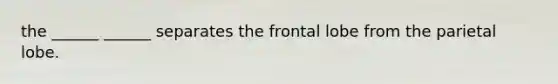 the ______ ______ separates the frontal lobe from the parietal lobe.