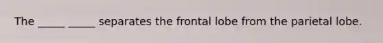 The _____ _____ separates the frontal lobe from the parietal lobe.