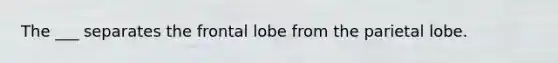 The ___ separates the frontal lobe from the parietal lobe.