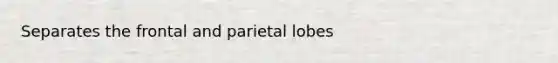 Separates the frontal and parietal lobes