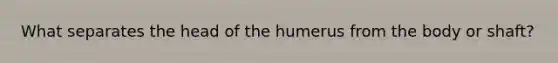 What separates the head of the humerus from the body or shaft?