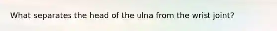 What separates the head of the ulna from the wrist joint?