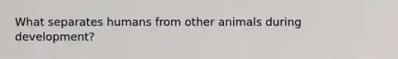 What separates humans from other animals during development?
