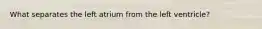 What separates the left atrium from the left ventricle?